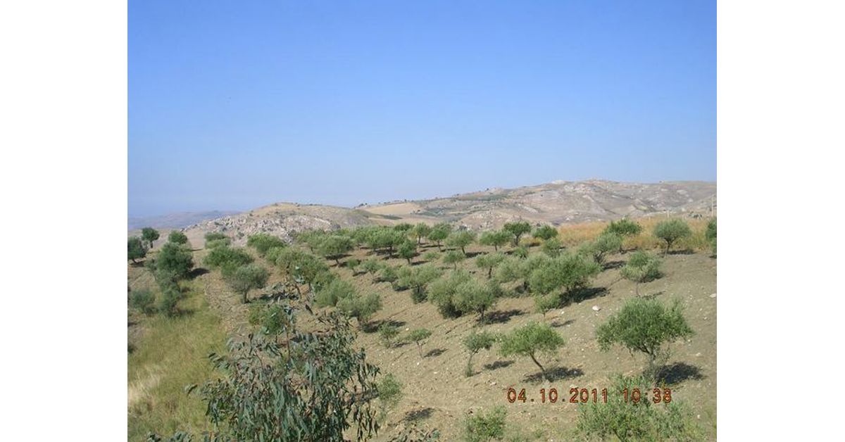 Country house for sale in Cianciana, Agrigento € 44,500 Ref